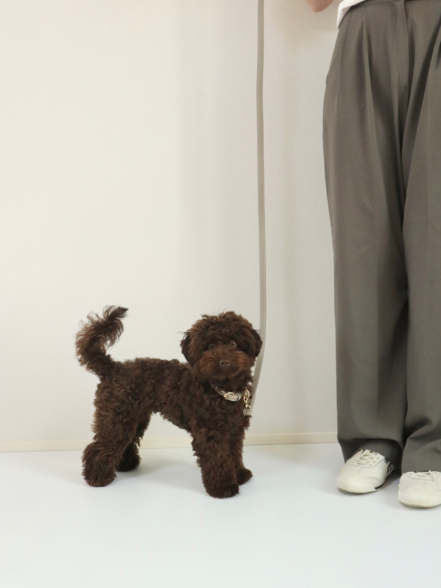 DOG LEASH