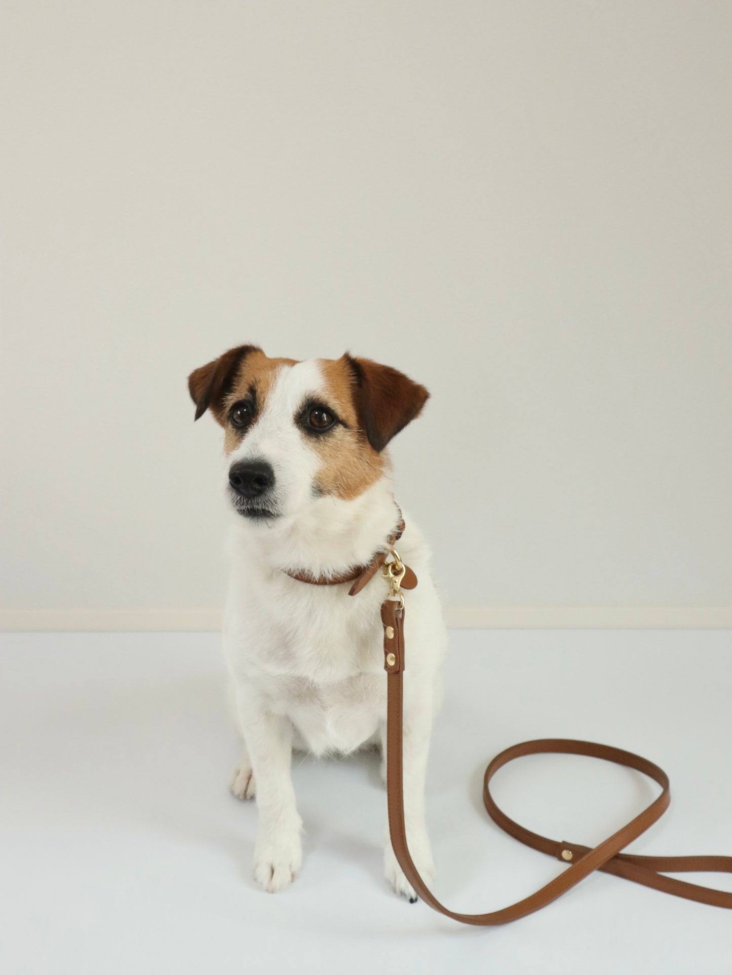 DOG LEASH