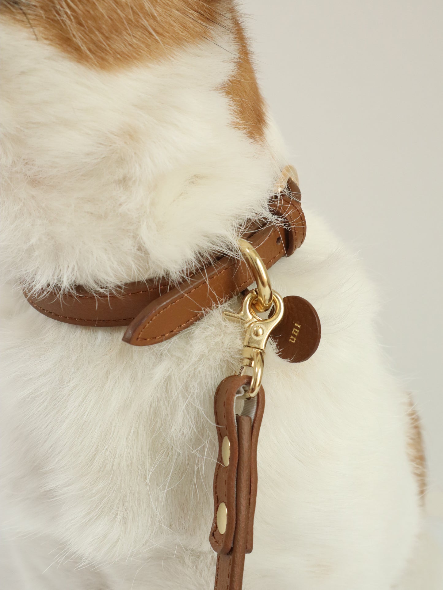 DOG COLLAR