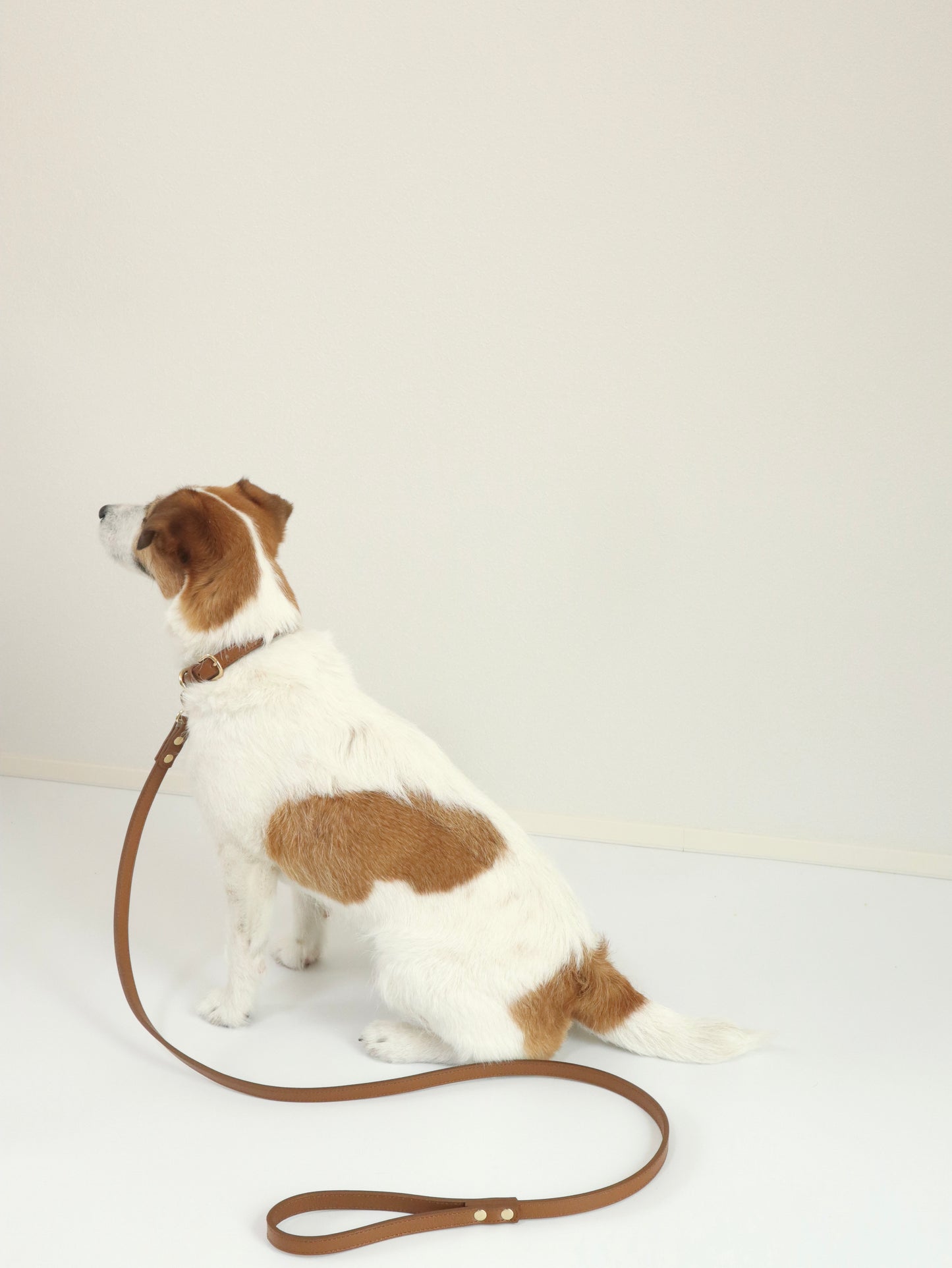 DOG LEASH